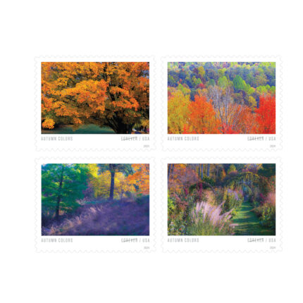 2024 Autumn Colors
