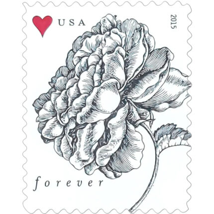 100PCS-Vintage Rose 2015